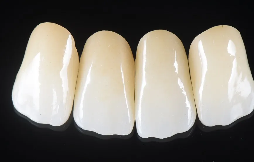 Production and Characterization of Dental Zirconia Blocks(图4)
