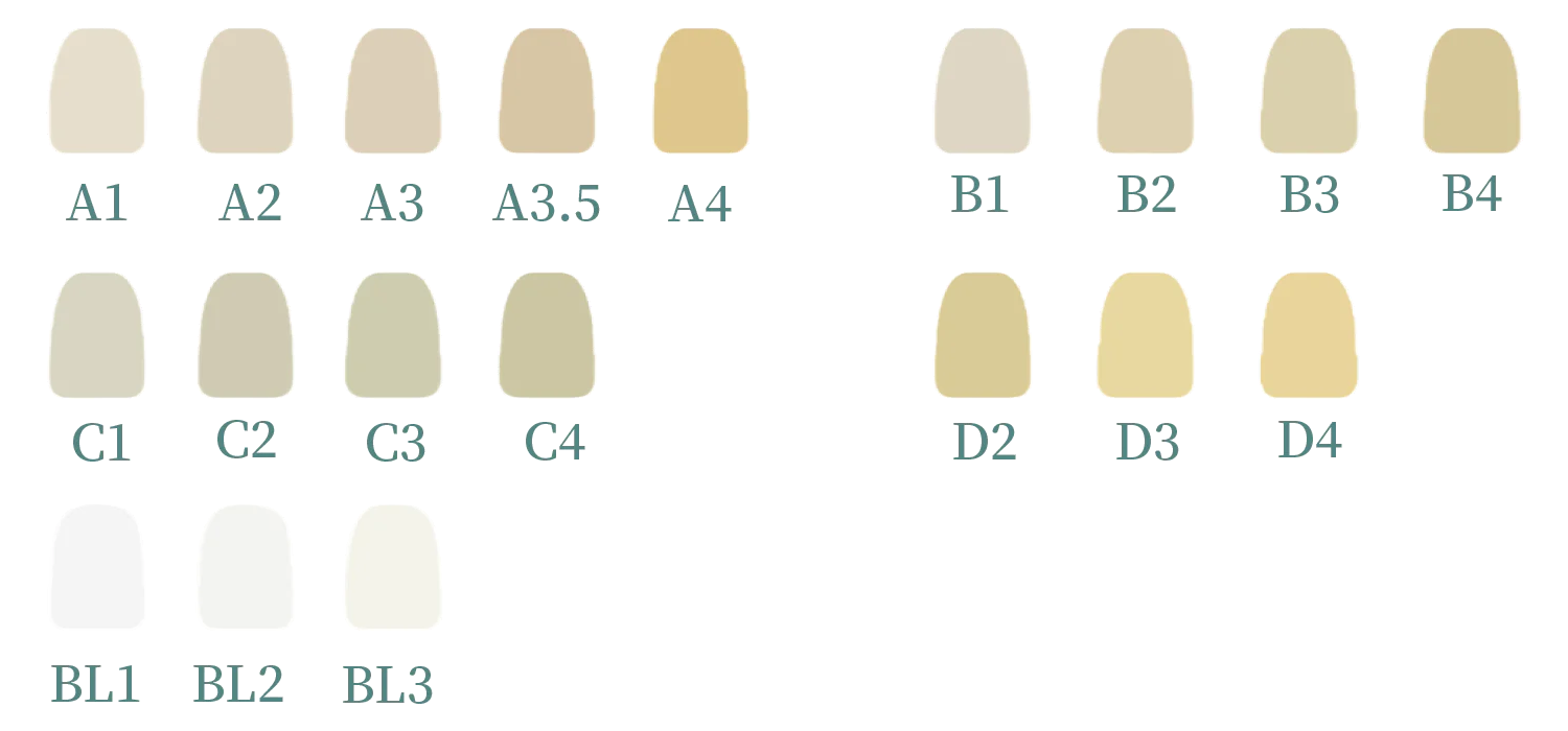 Cad Cam Zirconia Blocks(图4)