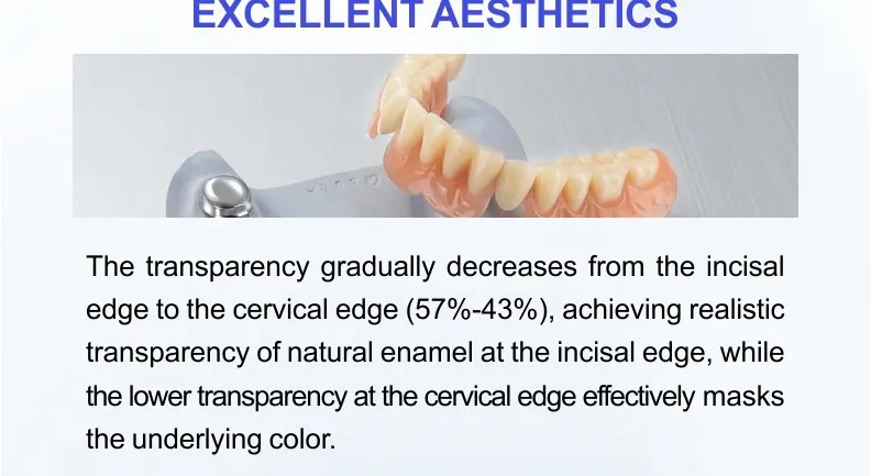 Zirconia Pucks(图5)